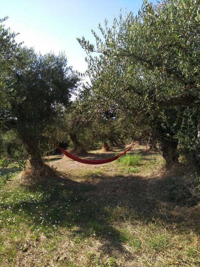 Villa Daphne, Messinia Near Koroni Kómboi エクステリア 写真