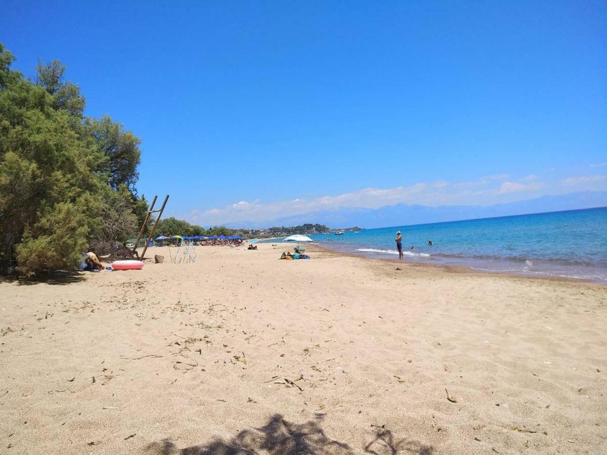 Villa Daphne, Messinia Near Koroni Kómboi エクステリア 写真